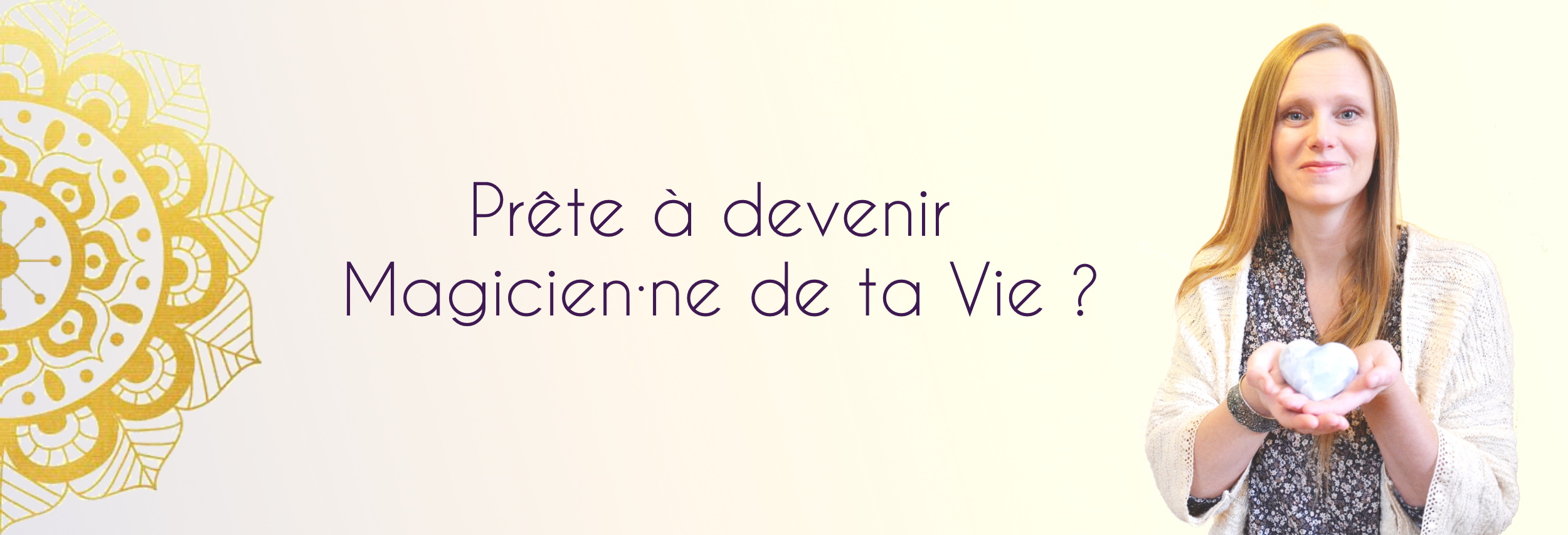 bandeau accompagnement VIP