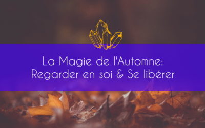 La Magie de l’Automne: Regarder en soi & Se libérer