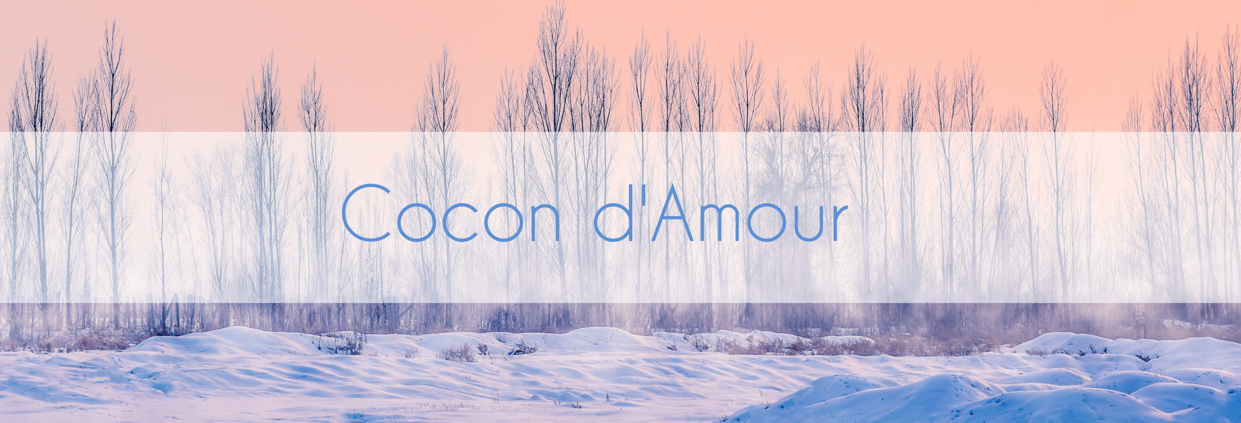 Bandeau Hiver